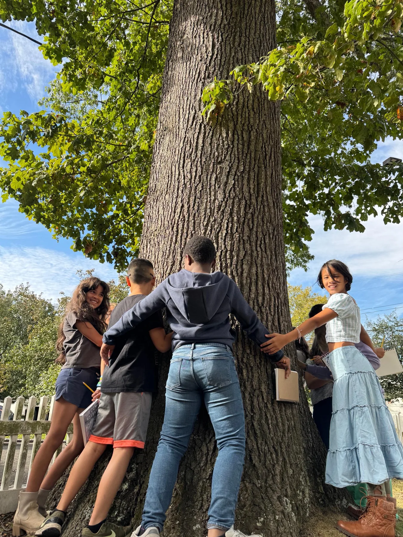 Progressive students sharing an outdoor learning activity around a large tree